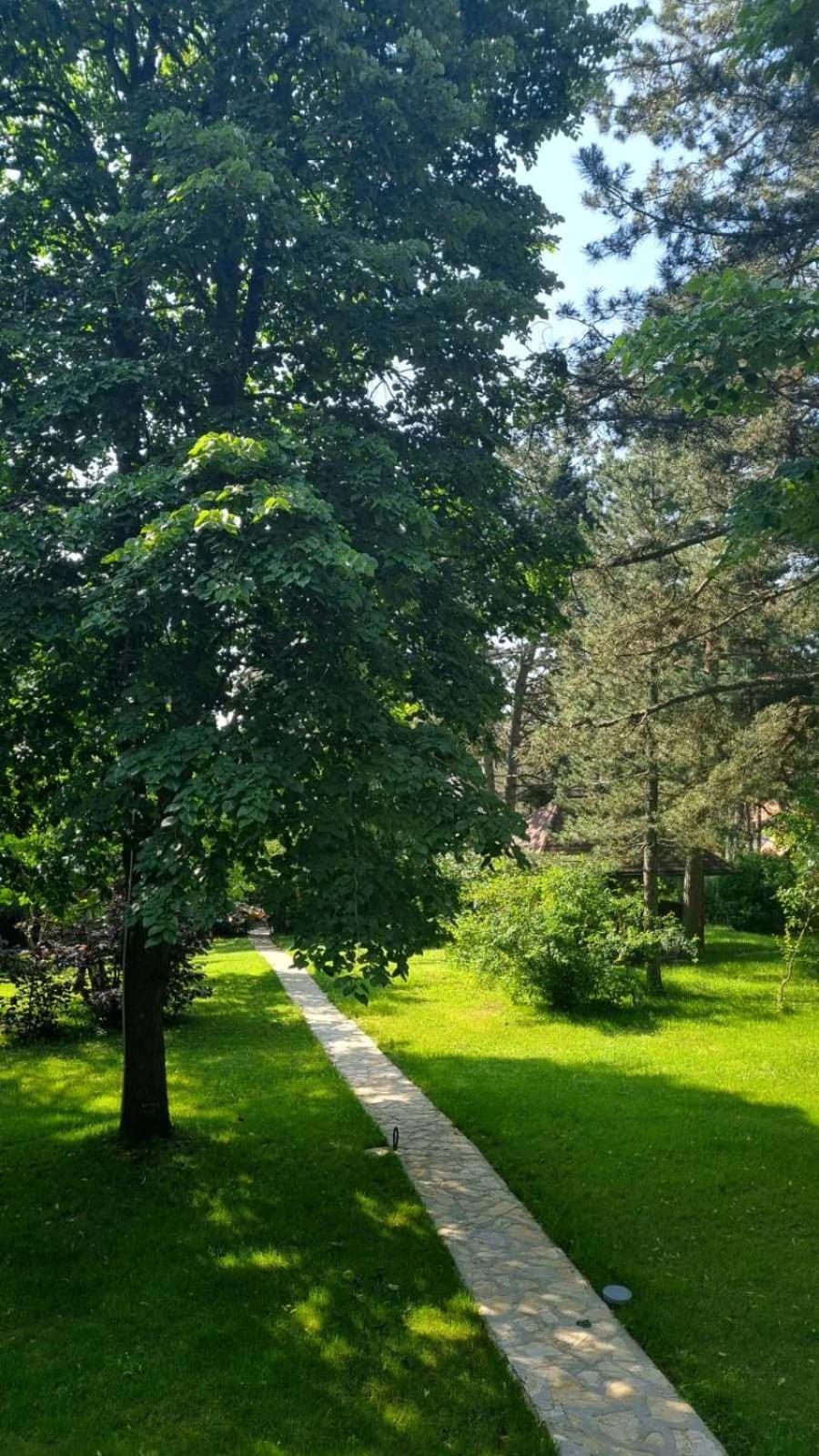 Vila Lucic Zlatibor Esterno foto